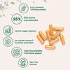 6-in-1 Turmeric Curcumin Complex 1000mg 120 Veggie Capsules Dietary Supplement