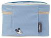 Skater Antibacterial Thermal Lunch Box 560ml Lunch Jar Disney Mickey Mouse KCLJC6AG-A