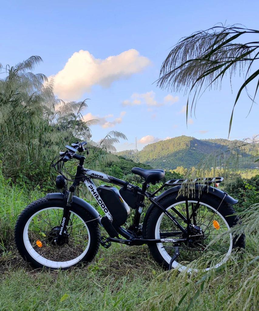 Electric bicycle PHILODO H8, 3000W motor, 48V 26Ah battery, top speed 56 km/h, cruising range 100km, 26x4.0 inch tires