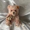 [USED] Not for sale. Teddy bear. Steiff. WACOAL prize.