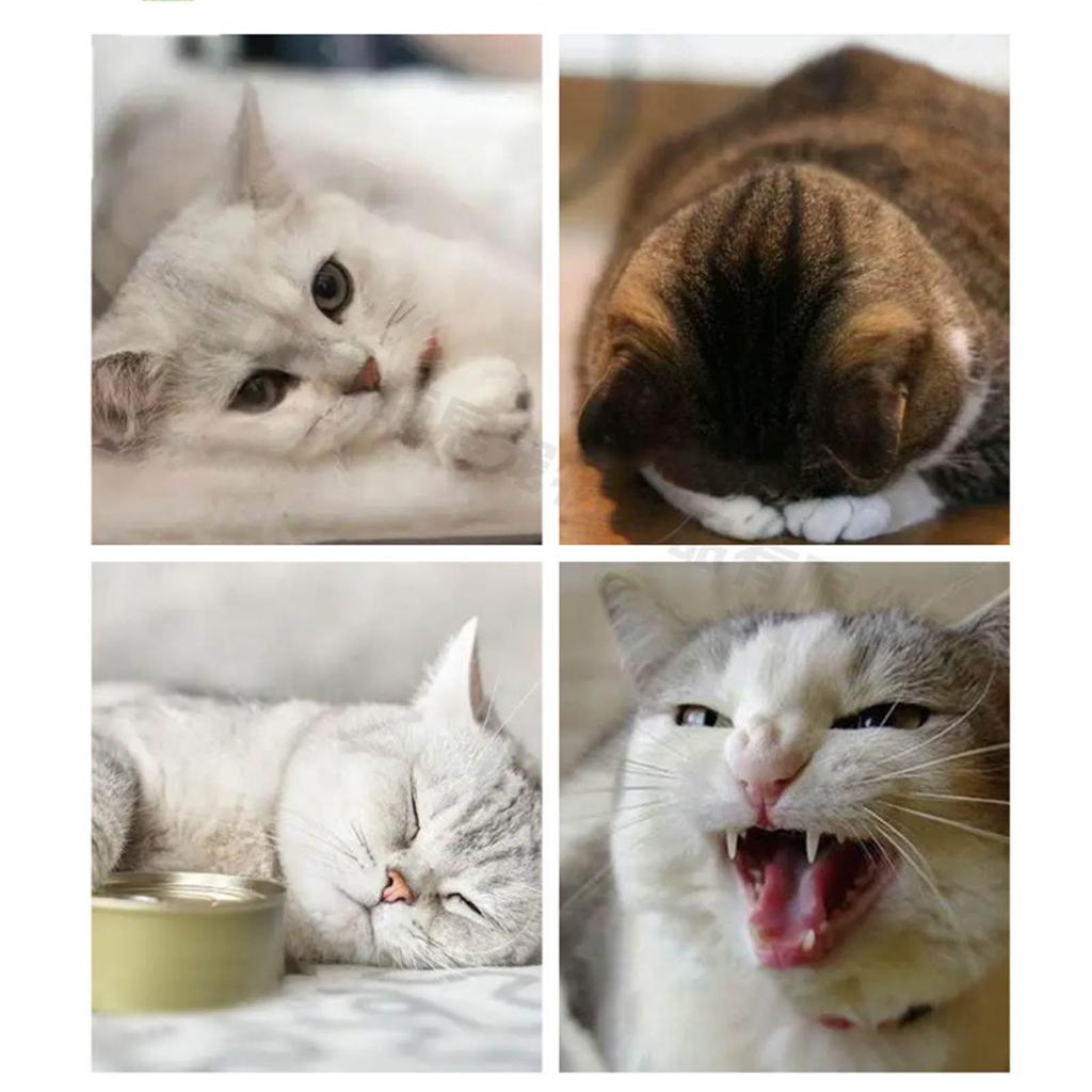 Шарики из кошачьей мяты ‖ Шарики из кошачьей мяты для стены для кошек: Кошачья мята (серебристая лоза) для кошек, Игрушки из кошачьей мяты (серебристой лозы) для домашних кошек, Органический шар, Милая игрушка из серебристой лозы
