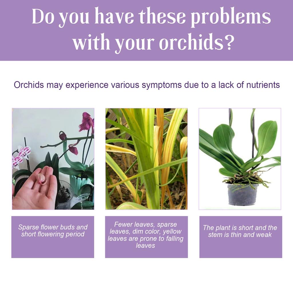 50ml Orchid Flower Fertilizer Liquid Increase Germination Rate Improve Growth for Beginner Starter Gardening Lover Gift