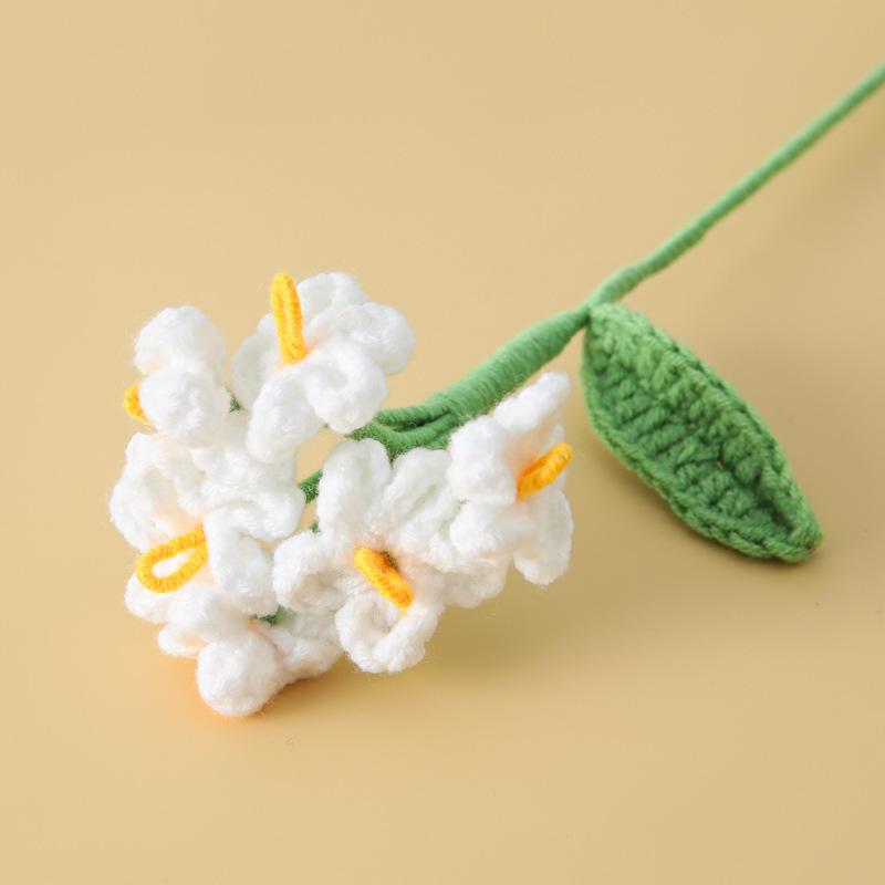 Wool Knitting Forget-Me-Not Flower Bouquet - Real Flowers Desk Gift for Colleagues & Classmates