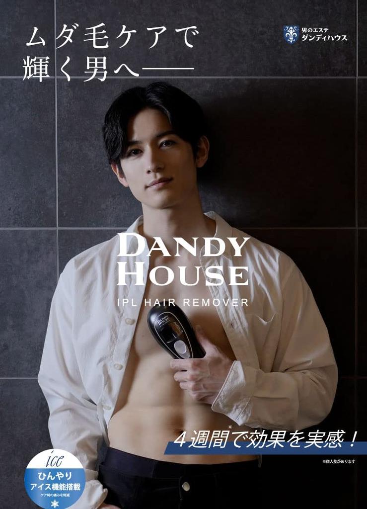 Dandy House IPL Hair Remover Устройство для удаления волос Охлаждающее устройство для удаления волос Лазер совместим с IPL vio Уход за нежелательными волосами Модель для домашнего использования для лица