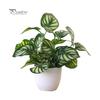 Предметы домашнего обихода Искусственная листва Растение Бонсай в горшке Свадьба Торговый центр Стол Офис