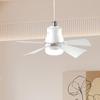 Ceiling Fan with Light 3 Gear Wind Speeds Socket Remotes Control for