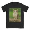 Men's Meowl Cat Owl Funny Internet Trendy T Shirt Cotton Tops Novelty Short Sleeve O Neck Tee Shirt Printing T-Shirts