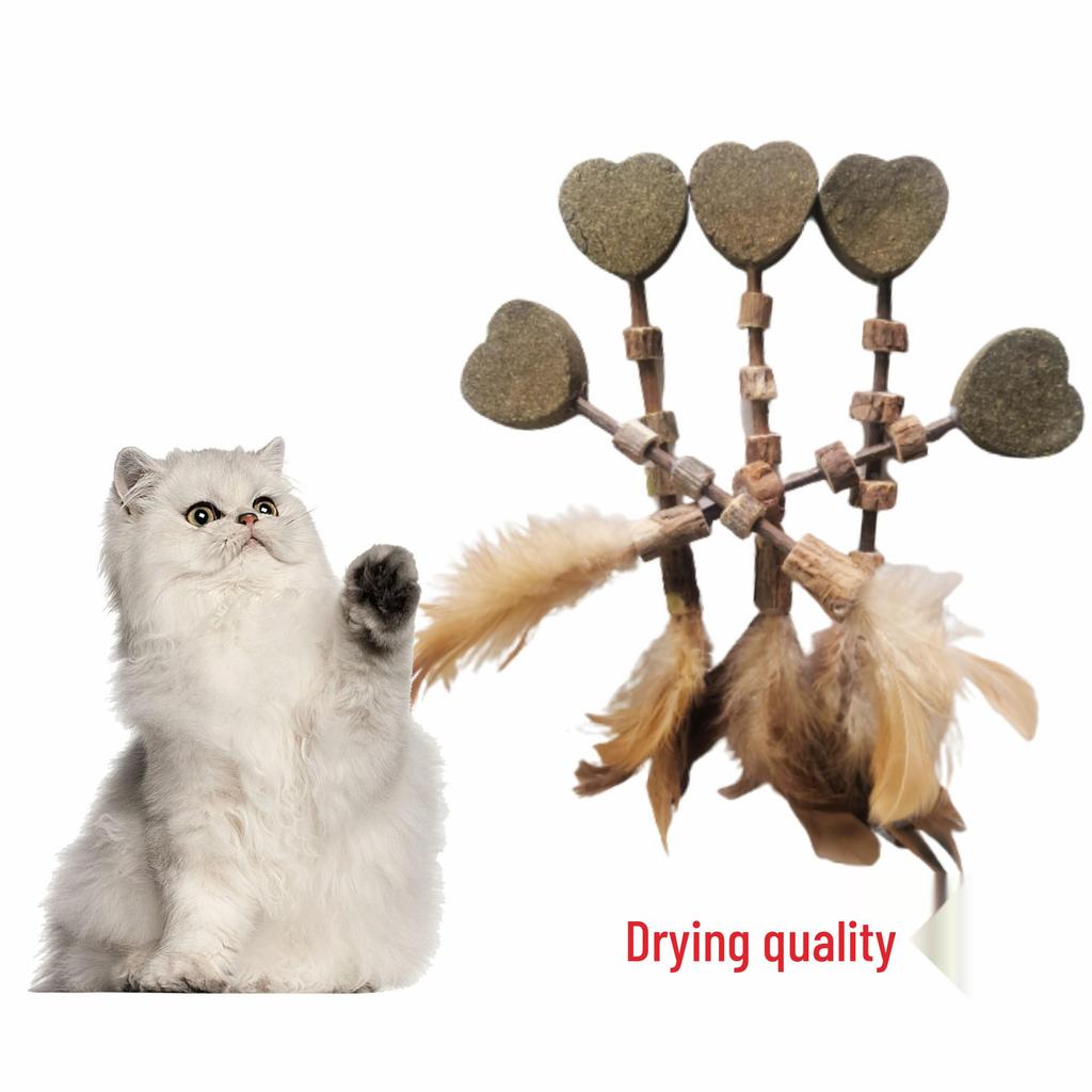 Heart-shaped Catnip Lollipop with Silvervine Stick & Feather for Cats - Teeth Cleaning & Self-Entertainment Toy