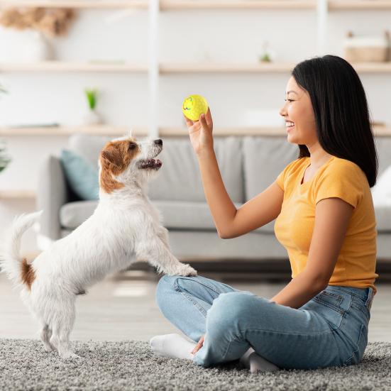 Интерактивный мяч для домашних животных, автоматический катящийся умный мяч, игрушка для собак, электрический прыгающий мяч со светодиодной подсветкой для маленьких/средних собак и кошек