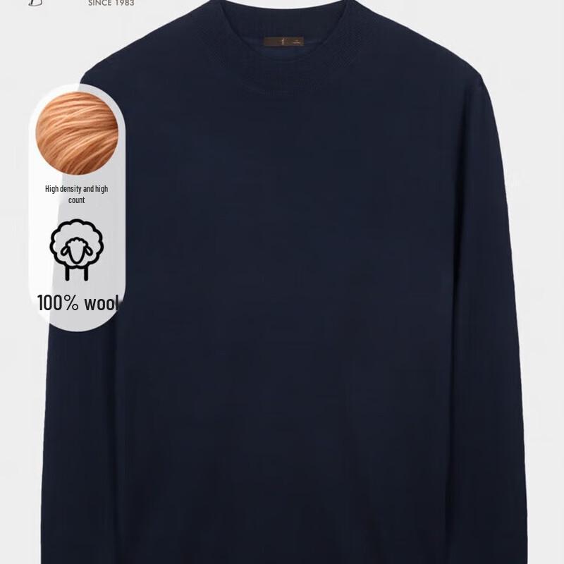 TRIES Men's Round Neck Slim Fit Wool Sweater