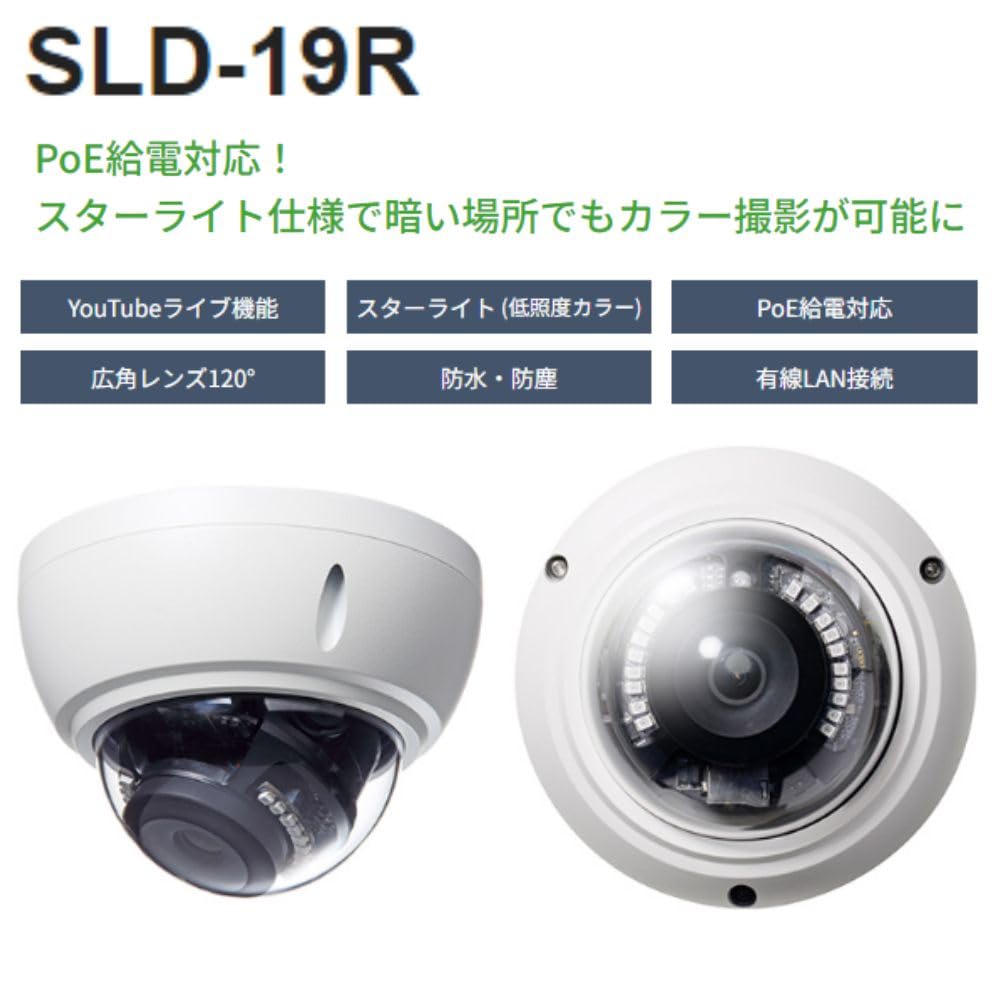 SolidCamera Купольная IP-камера Full HD Viewla IPC-19