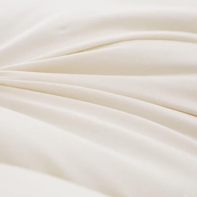Nanjiren NMHB36 Warm Polyester Fiber Duvet Insert