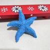 Cute Starfish Ornaments Resin Sea Stars Decoration Simulation Starfish  Wedding