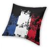 France Flag Graphic Design French Fans Square Pillow Case Cushions for Sofa Cushion Covers