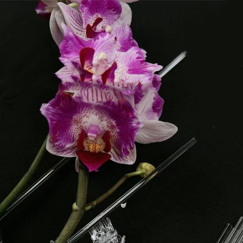 30Pieces Orchids Support Stem Plant Stakes Encourage Vertical Growth Stable And Flexible Support For Indoor Outdoor Use