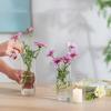 3/4 шт. Стеклянная ваза, настольные украшения, сухие цветы, гидропонная система, свадебные принадлежности, ваза, подсвечник, набор, минималистский, 2 комбинации