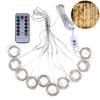 Pleasure Holiday 100LED 3x1Meter Curtain Strings Light USB 8-Mode Fairy Lamp with Remote Control