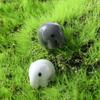 Glass Ornaments Home Room Miniature Fairy Garden Decoration Elephant Figurine Micro Landscape