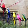 6 Colors 25cm Simulation Parrots Birds Artificial Parrots Home Garden Yard Decoration
