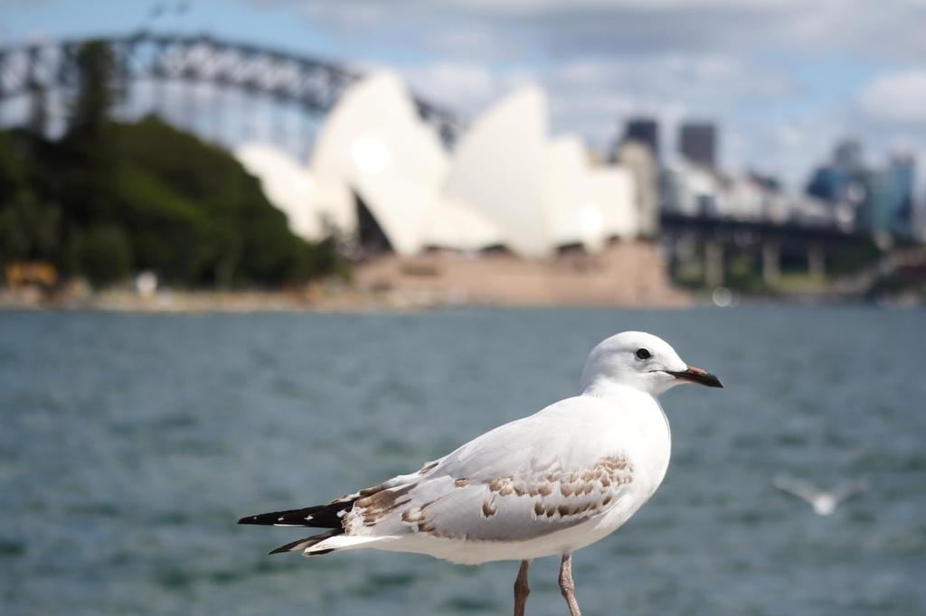 Canon Телеобъектив Canon IS STM с зумом Только для беззеркальных фотокамер Canon EF-M55-200mm F4.5-6.3 EF-M55-200ISSTM EF-M