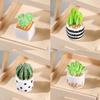 1Set 1:12 Dollhouse Miniature Succulent Plant Potted Cactu Landscape Home Decor