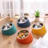 Large Capacity Dog Feeder Anti Rollover Pet Bowl New Food Bowl