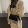 Повседневная сумка женская осень и зима 2025 новая мода высокая текстура нишевый дизайн одно плечо кроссбоди сумка-подушка