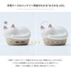 Radius HP-C28BT True Wireless Earphones: NEKO true wireless earphones, Bluetooth compatible, fully wireless, left and right separated earbuds, AAC, li