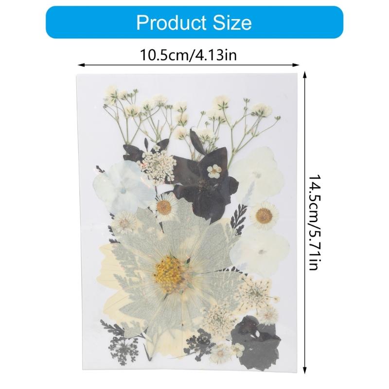 495Piece Dried Flower Craft Set Including Pressed Blooms and Butterfly Stickers for Resin Art and Journal Decorating