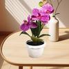 Искусственное растение в горшке Реалистичная имитация цветка Яркий цвет Искусственная орхидея-бабочка Бонсай
