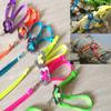 Reptile Lizard Harness Leash Training Walking Rope Adjustable Lacertid Leash Chest Strap Lizard Lizard Supplies
