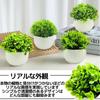 East Leaf Faux Greenery, Artificial Plants, Mini Potted Plants, Stylish Decorative Gift, Set of 4