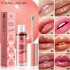 1 ШТ. YOUNG VISION GLOSS TWINKLING SET - 1 цвет Увлажняющий блестящий блеск для губ, легкий и нелипкий, идеально подходит для создания очаровательных сияющих губ