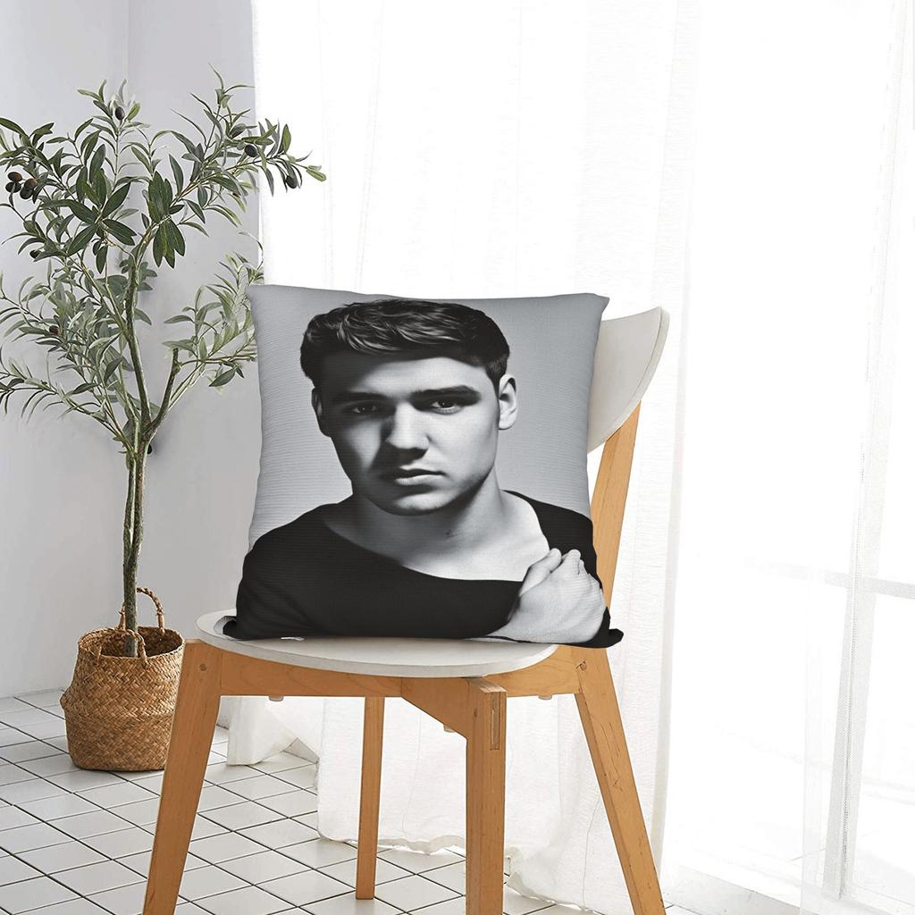 L-Liam Payne Singer Pillow Case Soft Pillow Cover Morden Pillowcases For Living Room Chair