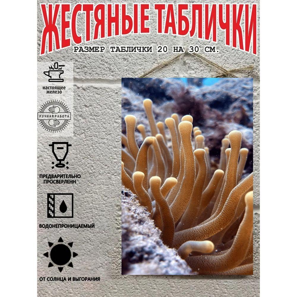 Металлические Настенные Знаки, Коллекция Морских Существ, Декор Комнаты, 20x30 см