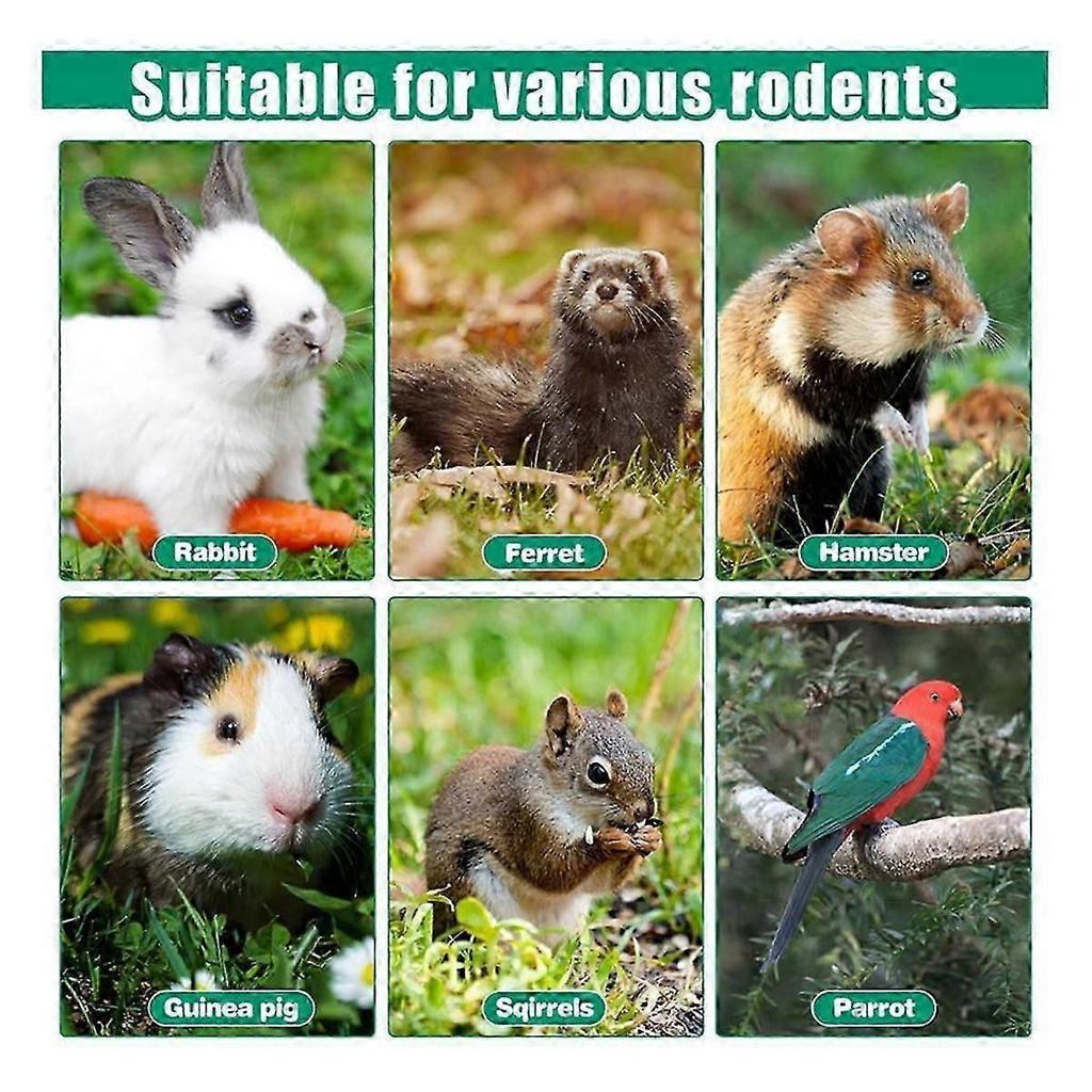 Heated Rabbit Water Bottle, 32 Oz No Drip Water Bottle For Rabbits, , Guinea Pigs, Ferrets, Birds, Cockatiel WSLIHV