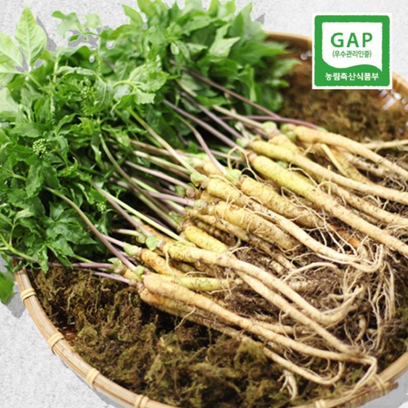 Mom's Farm Sulphur Sprouts Mini 80 корней около 15 см, 100 шт.