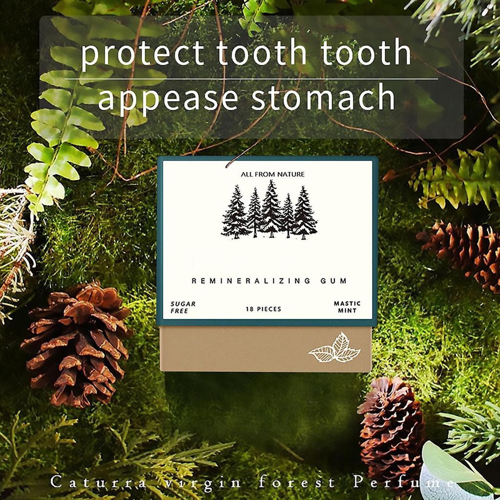 Remineralizing Chewing , New Organic Natural Mastic Mint Sugar-Free Freshen Breath For Teeth & Health Enamel Care 4 Boxes
