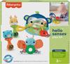 Fisher Price Захватывающий набор из пяти игрушек 3 3 GWT73 Чувства! ~От месяцев~ Смотри, слушай, трогай! [От месяцев]