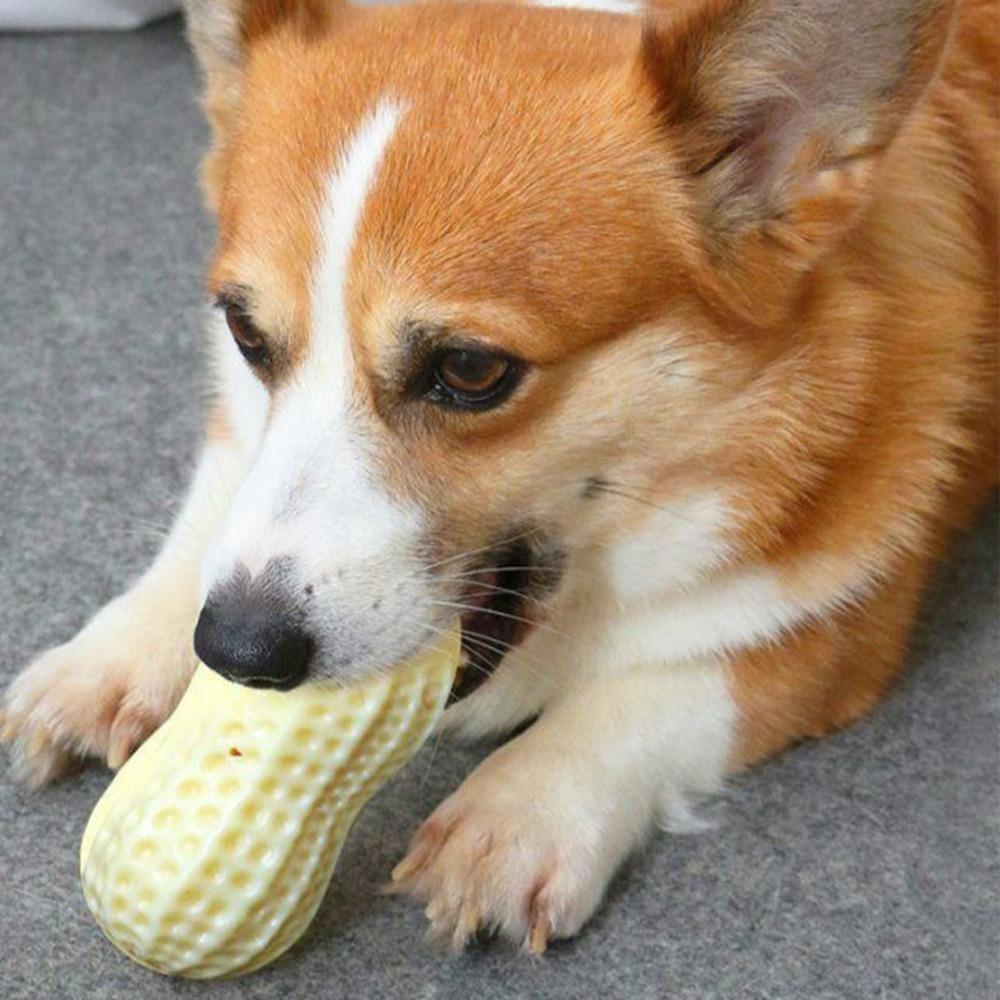 Textured Surface Peanut Dog Chew Toy Peanut Shape Teething Chew Toy Teeth Cleaning Chewing