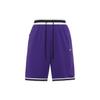 Dri-Fit DNA Color-Block Striped Straight-Leg Shorts Men Shorts Purple DR7229-547