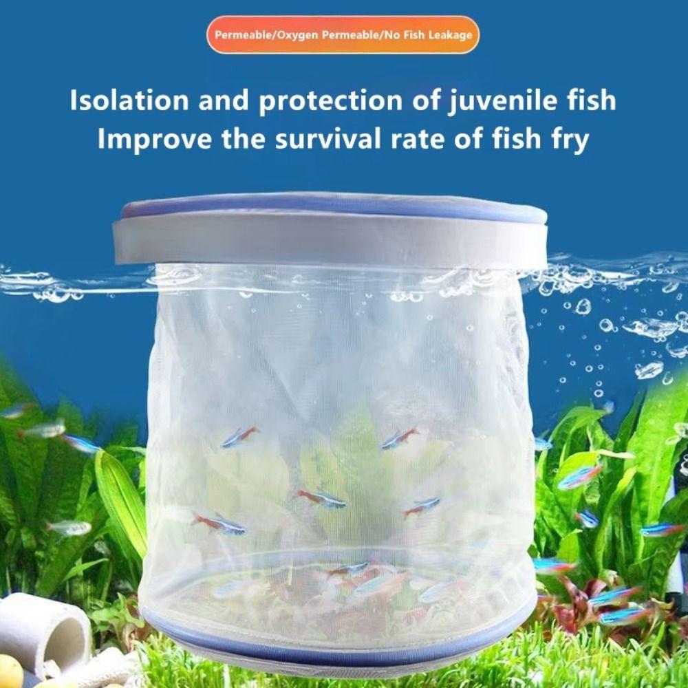 Multiple sizes Aquarium Fish Isolation Box Breathable Small Fry Breeding Box Fish Care Equipment