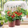 Garden Bamboo Stake Caps Pvc Garden Tool Safety Cover For Gardeners And Home Garden Use