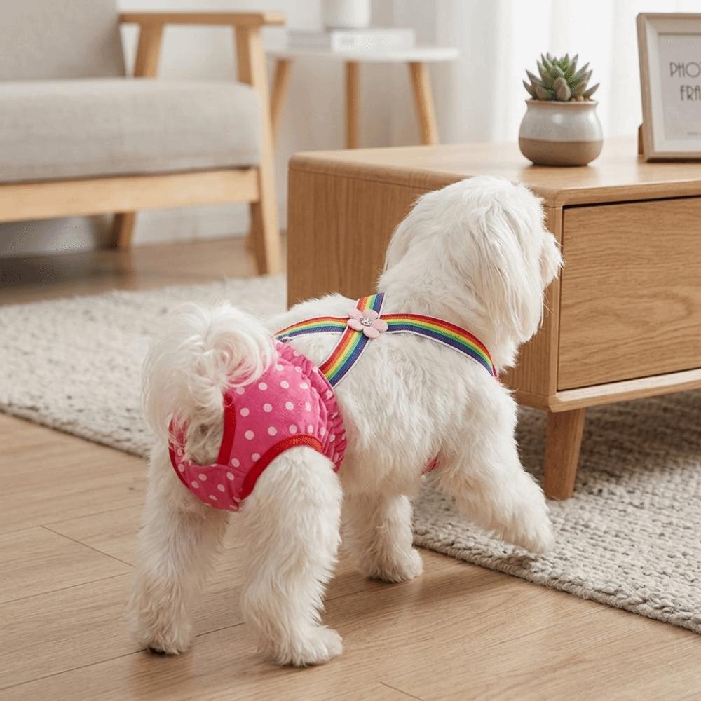 Breathable Dog Physiological Pants Washable Dog Heat Pants Cute Pet Sanitary Pants  Heat Cycle