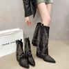 Fashion Luxury Embroidery Pointed Toe Western Cowboy Boots Women Winter V Pants Tube Long Boots for Women Chunky Heels High Knight Boots