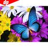Diamond Painting Full Round Animal Butterfly Embroidery Sale Diamond Mosaic Cross Stitch