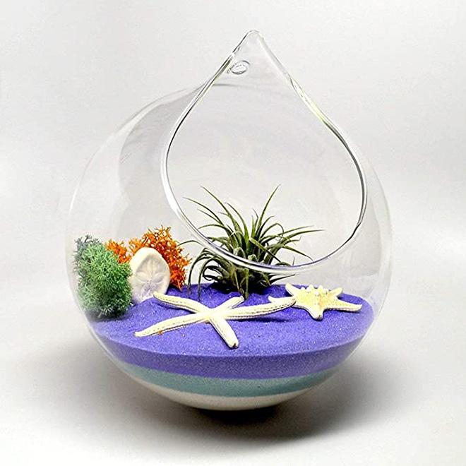 Dropshiping Hanging Glass Planter Round Air Plant Terrarium Decorations With Sling for Succulent Tillandsia Candle Holder