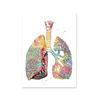 Human Structure Anatomy Muscles System Canvas Paintings Heart Lungs and Bones Posters Prints Medical Enthusiasts Wall Art Gift