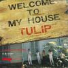 7inch Record TULIP - Welcome To My House / Oi Te Kita Hi ETP10344 EXPRESS 1977 Japan Japanese Pop/Rock Used