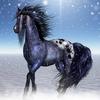 Diamond Mosaic Horse Picture Beads Full Round Diamond Painting Animal Horse Rhinestone Cross Stitch